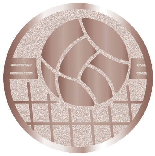 вкладыш E50139B_50_волейбол