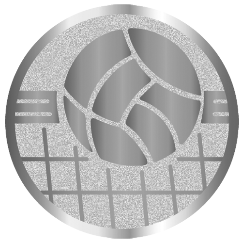 вкладыш E50139S_50_волейбол