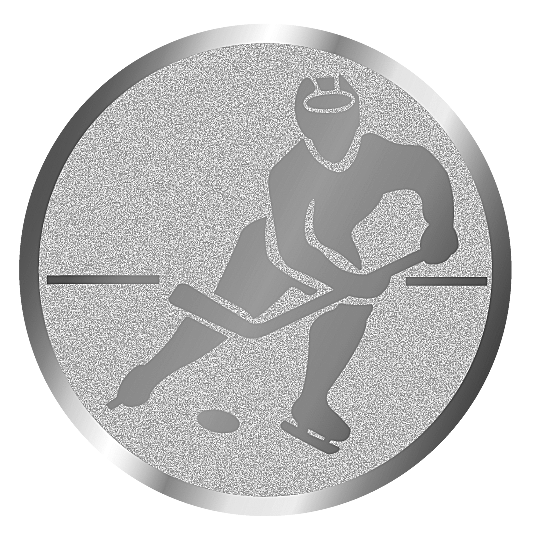 вкладыш E50099S_50_хоккей