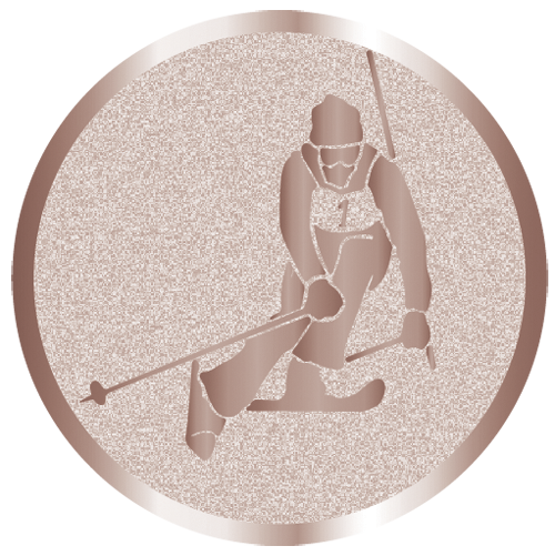 вкладыш E50095B_50_лыжи