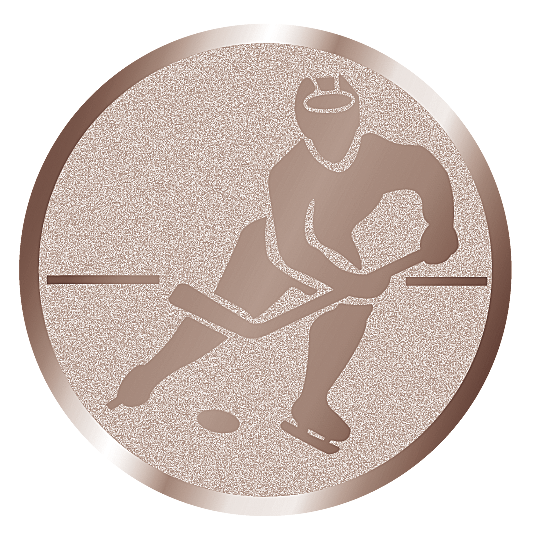 вкладыш E50099B_50_хоккей