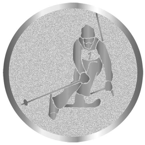 вкладыш E50095S_50_лыжи