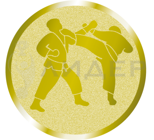 вкладыш E50078G_50_каратэ