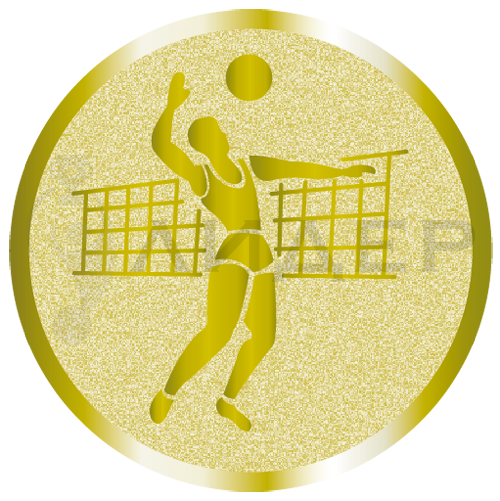 вкладыш А2.019.01_50_волейбол