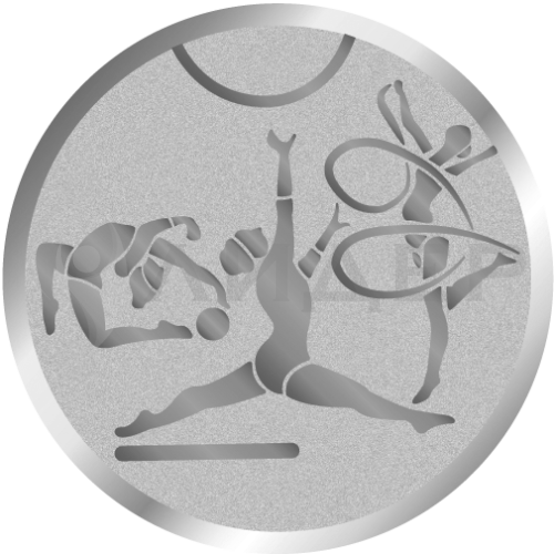 вкладыш E25141S_25_гимнастика