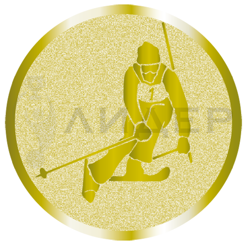 вкладыш E50095G_50_лыжи