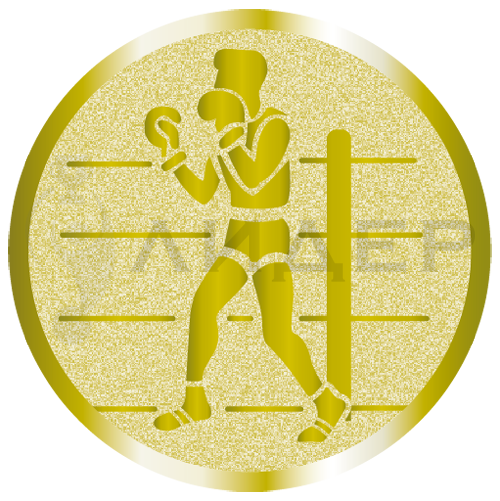 вкладыш E25079G_25_бокс