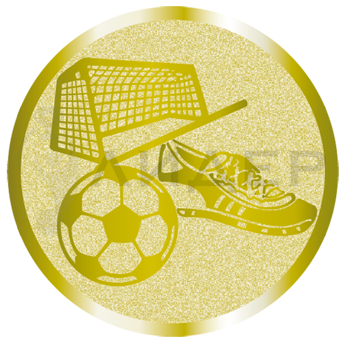 вкладыш E25143G_25_футбол