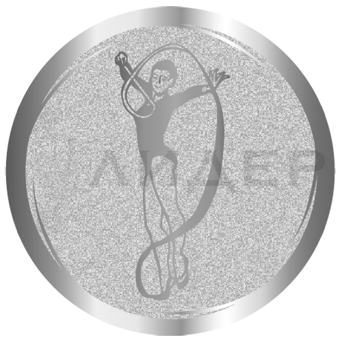 вкладыш E25GYMN005S_25_Гимнастика