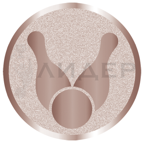 вкладыш E25041B_25_боулинг