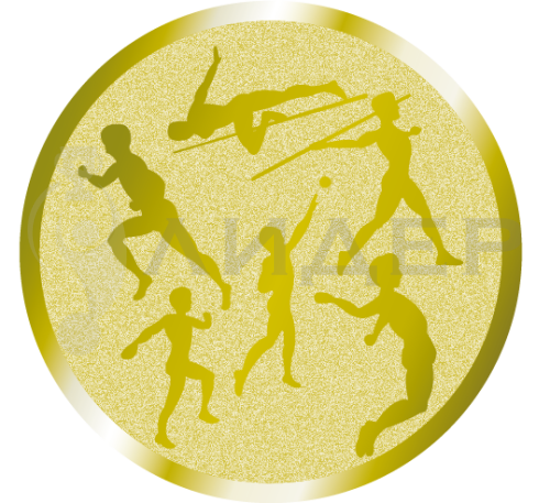 вкладыш E25006G_25_Многоборье