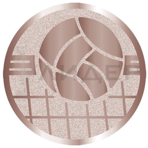 вкладыш E50139B_50_волейбол