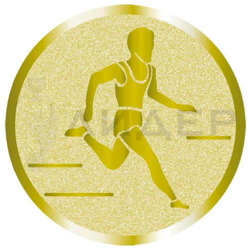 вкладыш А2.025.01_50_бег