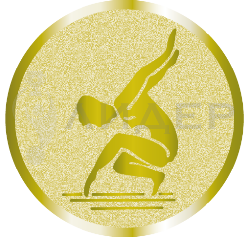 вкладыш E25044G_25_гимнастика