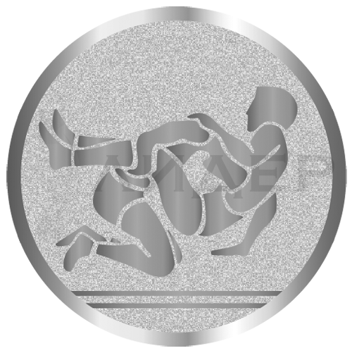 вкладыш E50080S_50_борьба