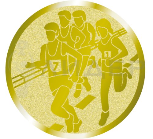 вкладыш E25028G_25_ марафон