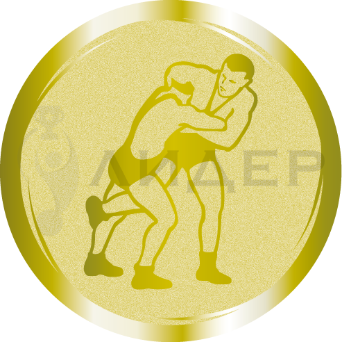 вкладыш E25WRE003G_25_борьба