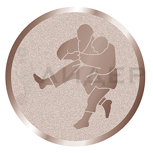 вкладыш E50077B_50_дзюдо