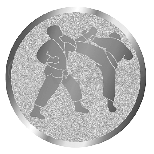 вкладыш E25078S_25_каратэ