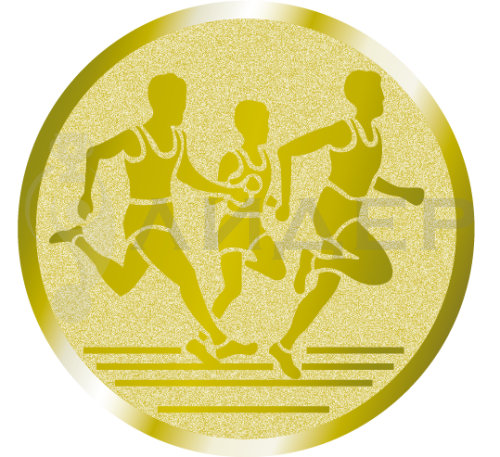 вкладыш E25027G_25_ бег группа