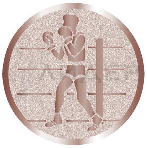 вкладыш E25079B_25_бокс