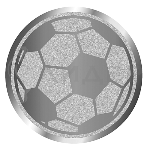 вкладыш E25178S_25_футбол