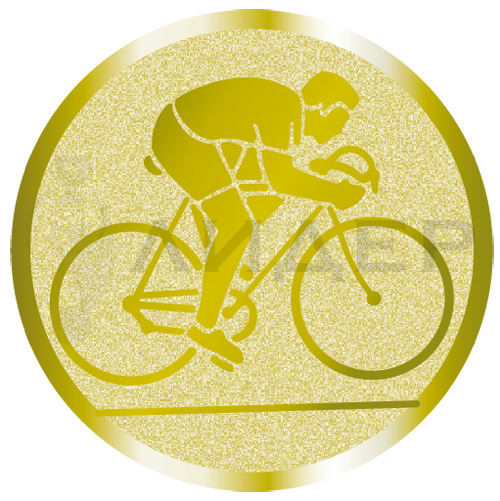 вкладыш E25071G_25_велоспорт