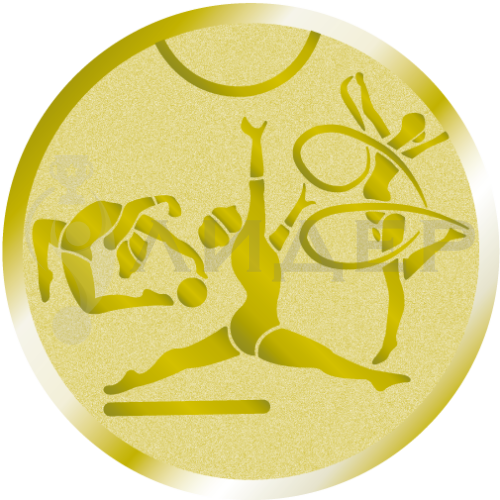 вкладыш E25141G_25_гимнастика