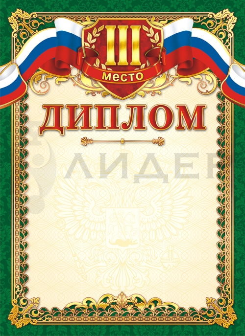 Диплом 3 место ОГ-1180