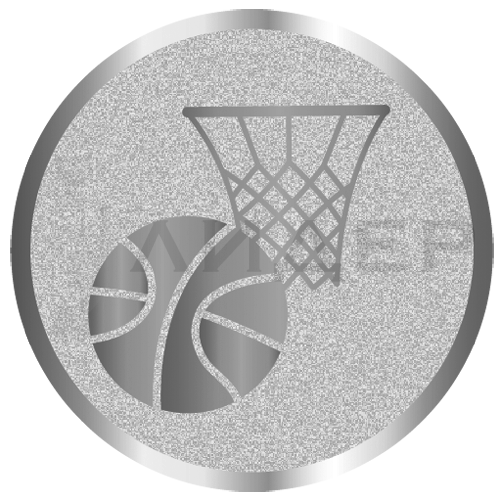 вкладыш E25010S_25_баскетбол