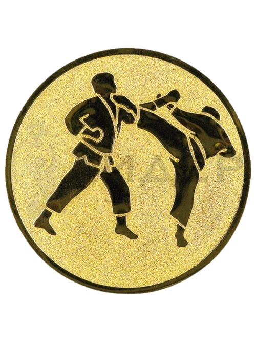 вкладыш A1.078.01_25G Каратэ