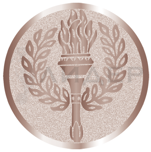 вкладыш E25004B_25_Факел