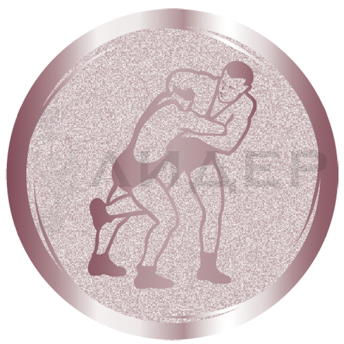 вкладыш E25WRE003B_25_борьба