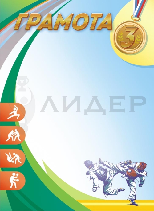 Грамота ОГ-1438 (Спортивные единоборства 3 место)