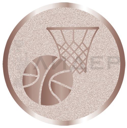 вкладыш E25010B_25_баскетбол