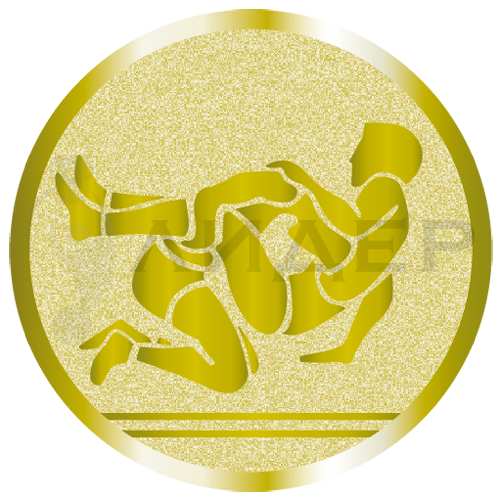 вкладыш E50080G_50_борьба