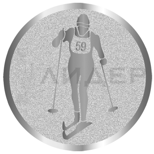 вкладыш E25096S_25_лыжи