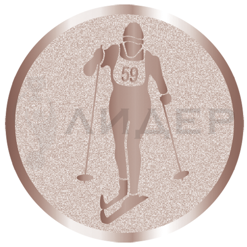 вкладыш E25096B_25_лыжи