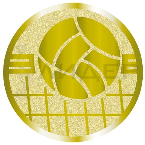 вкладыш E50139G_50_волейбол