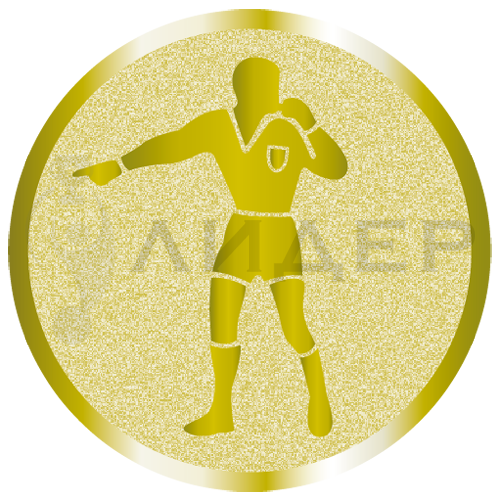 вкладыш E25064G_25_судья