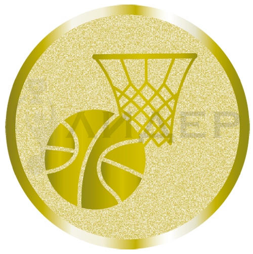 вкладыш E25010G_25_баскетбол