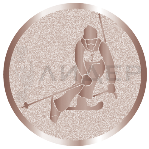 вкладыш E50095B_50_лыжи