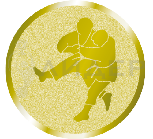 вкладыш E25077G_25_дзюдо