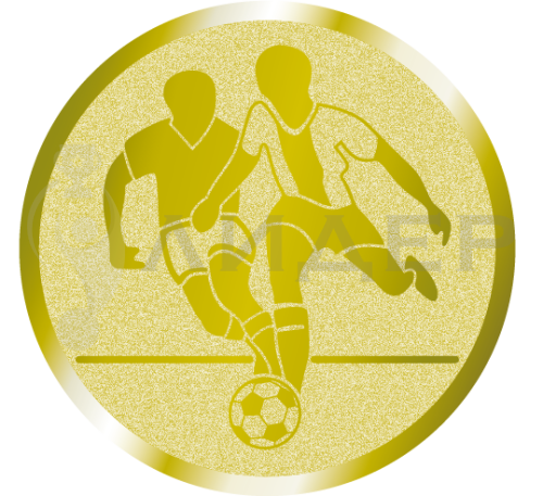 вкладыш E25001G_25_Футбол 