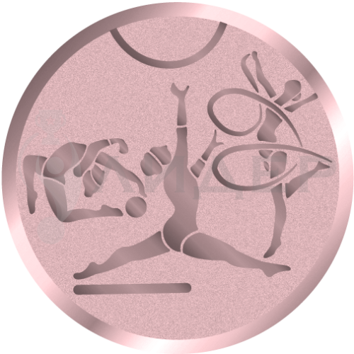 вкладыш E50141B_50_гимнастика