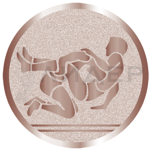 вкладыш E50080B_50_борьба