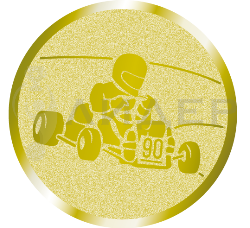 вкладыш E25119G_25_картинг