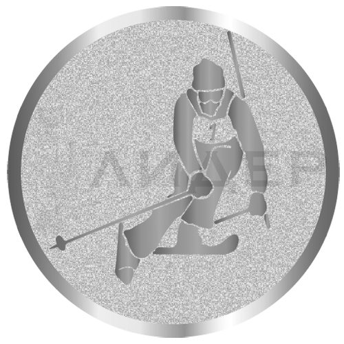 вкладыш E50095S_50_лыжи